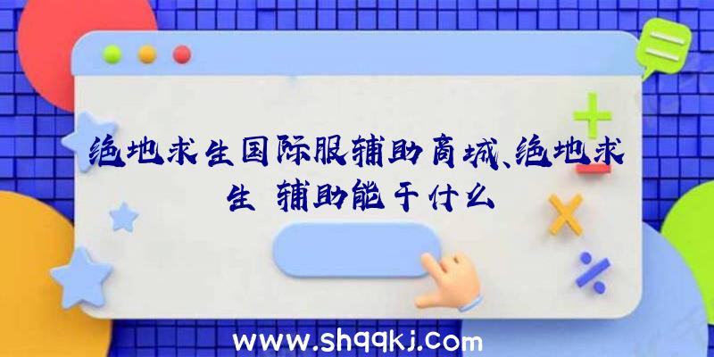 绝地求生国际服辅助商城、绝地求生